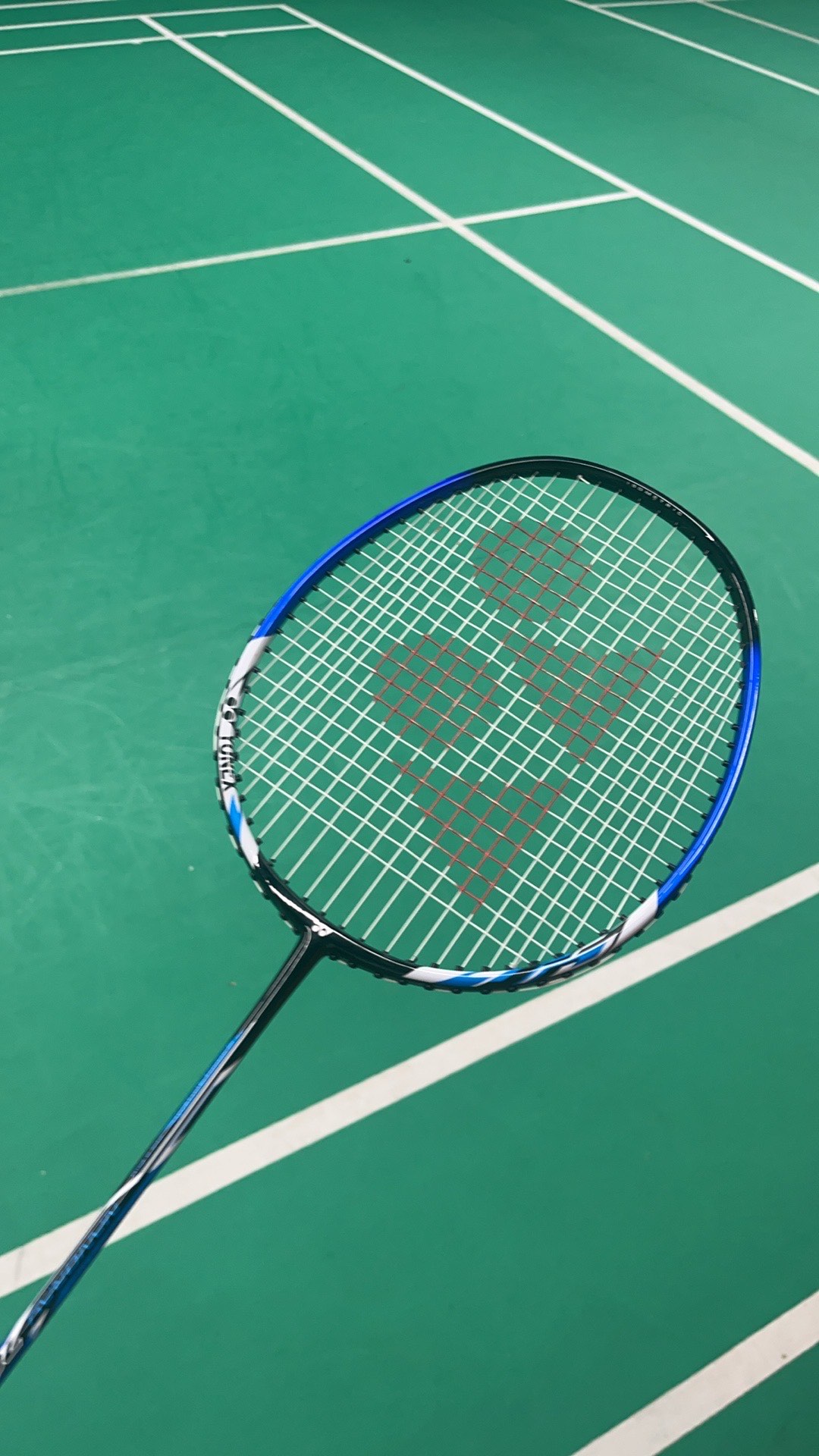 棋盘上的体 棋盘上的体