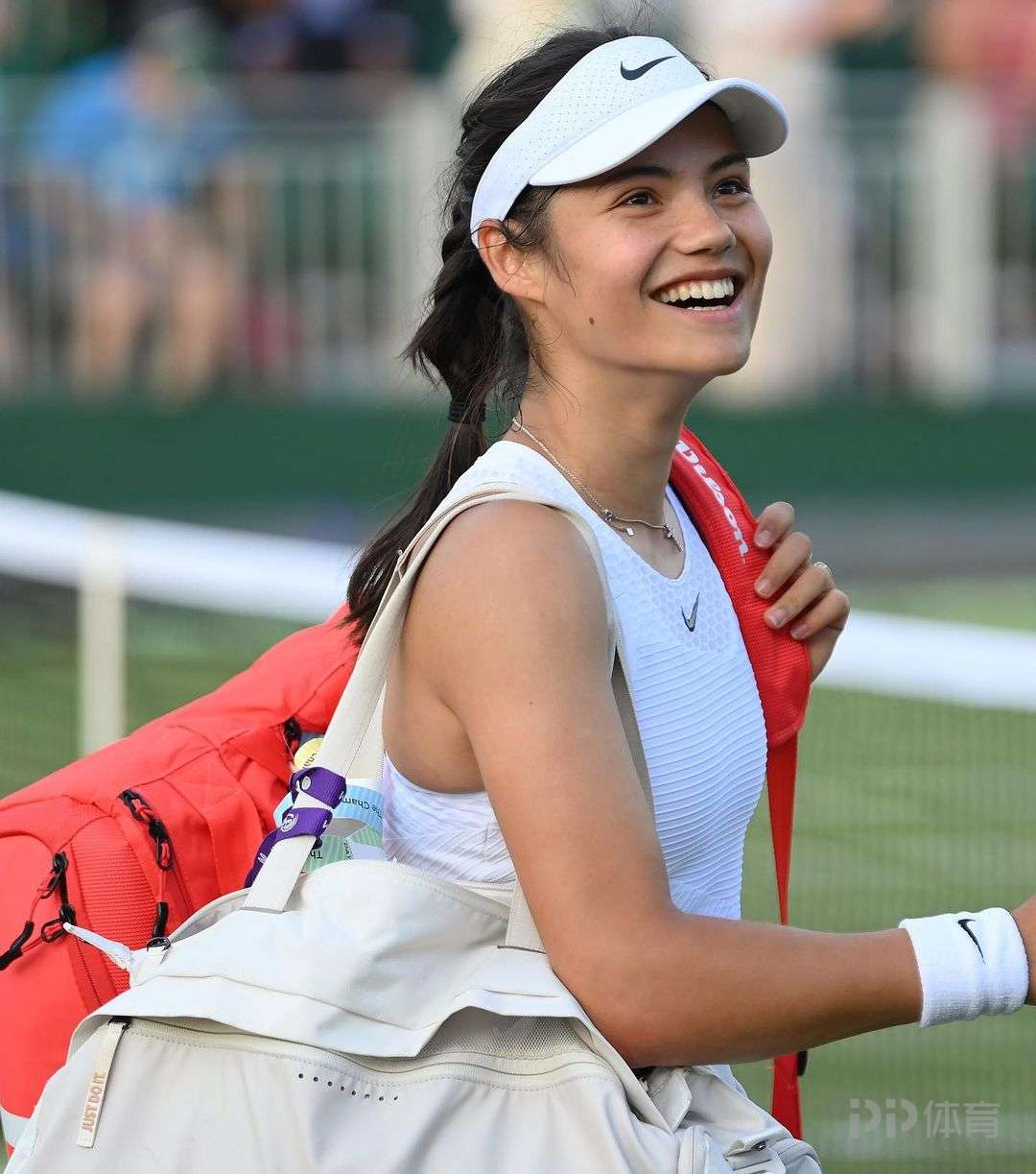 才能不被 才能不被